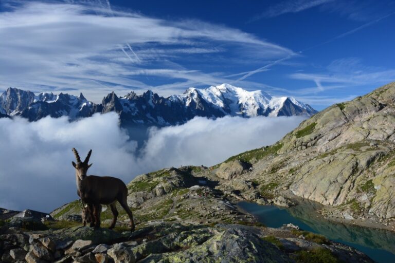 cestovatelská přednáška