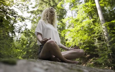 forest therapy